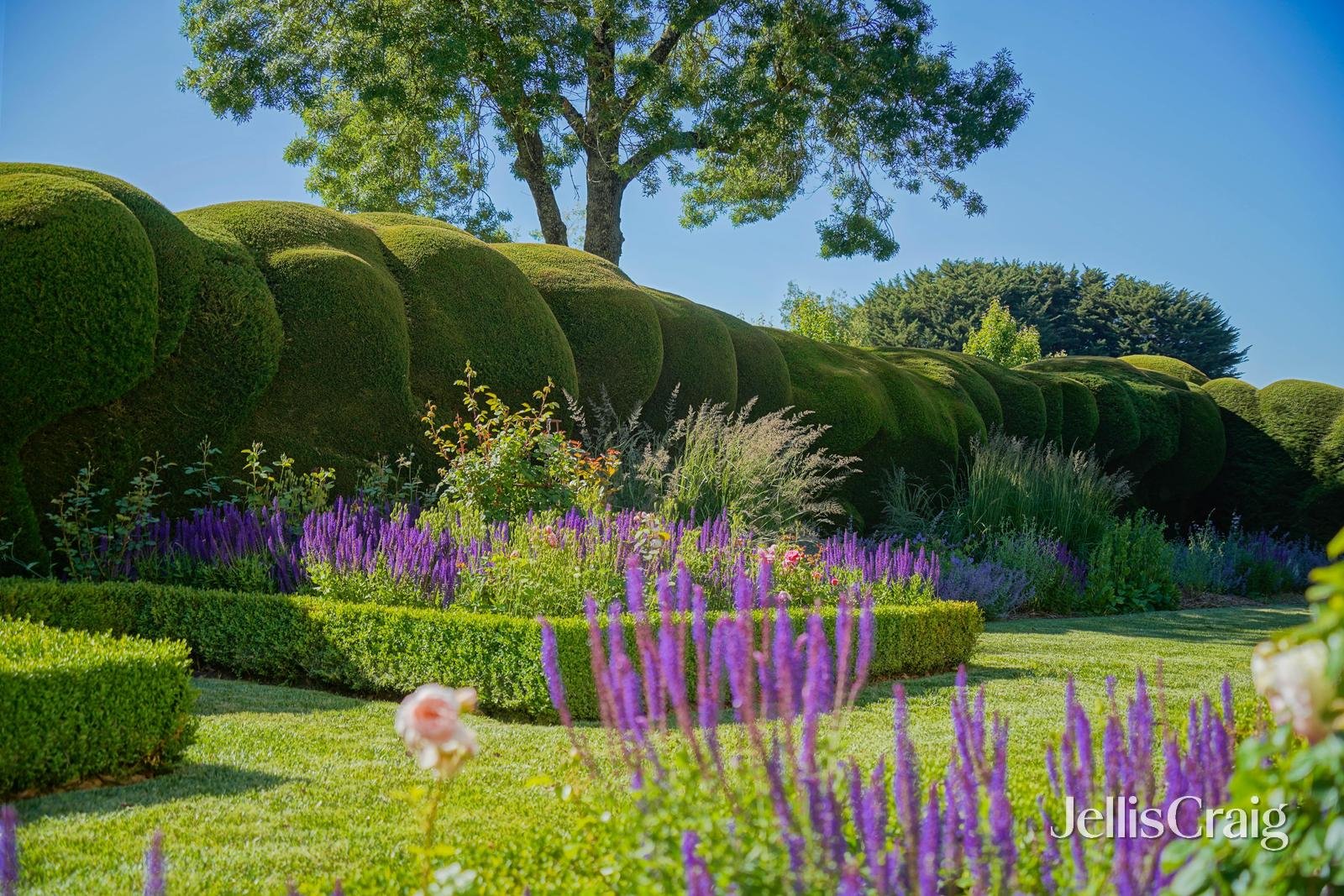 89 Whitelodge Road, Woodend&nbsp;North image 4