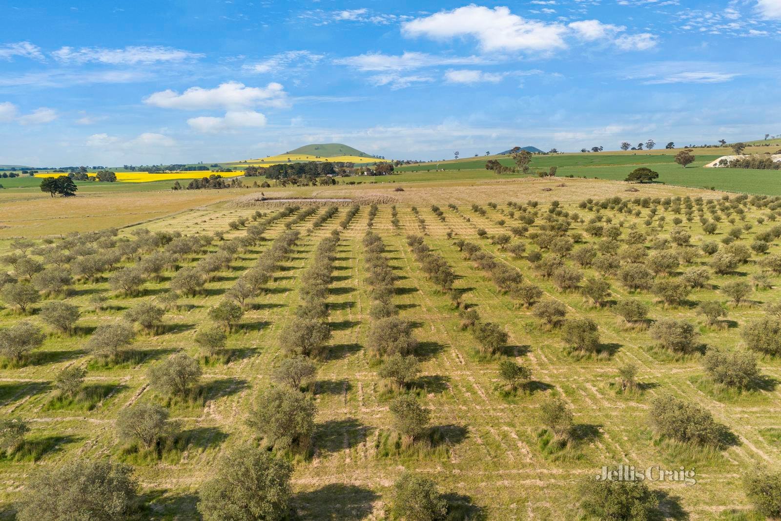 890 Creswick Lawrence Road, Lawrence image 3