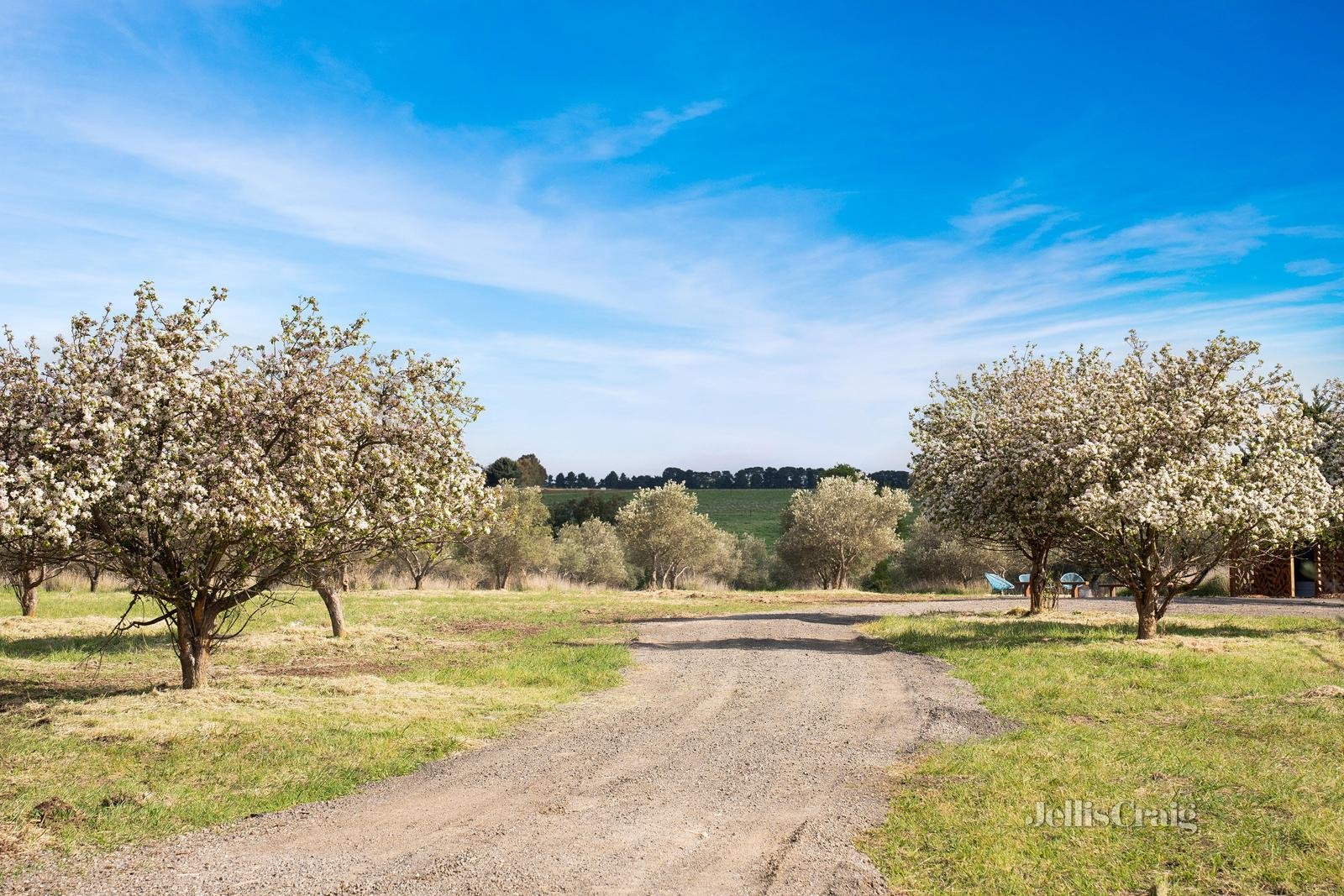 890 Creswick Lawrence Road, Lawrence image 14