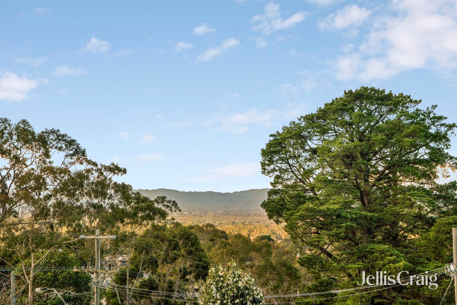 896 Waverley Road, Wheelers&nbsp;Hill image 14