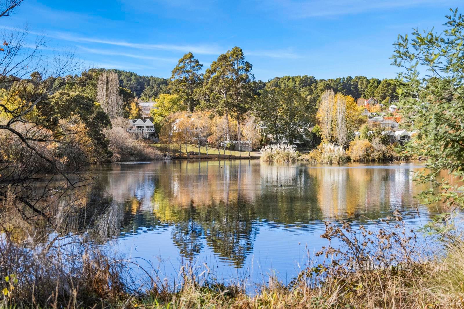 8A Albert Lane, Daylesford image 8