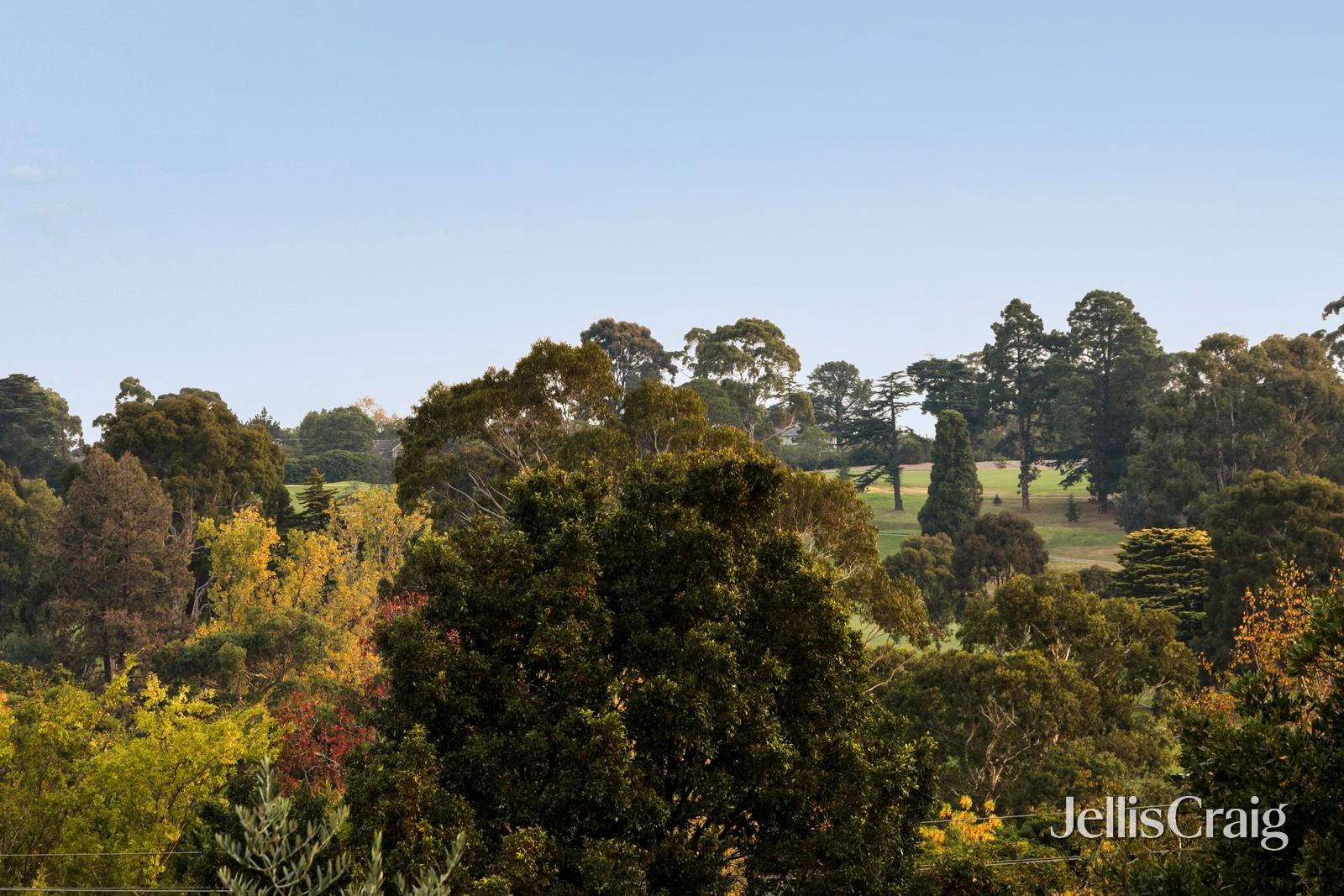 8B Armstrong Street, Mount&nbsp;Waverley image 24