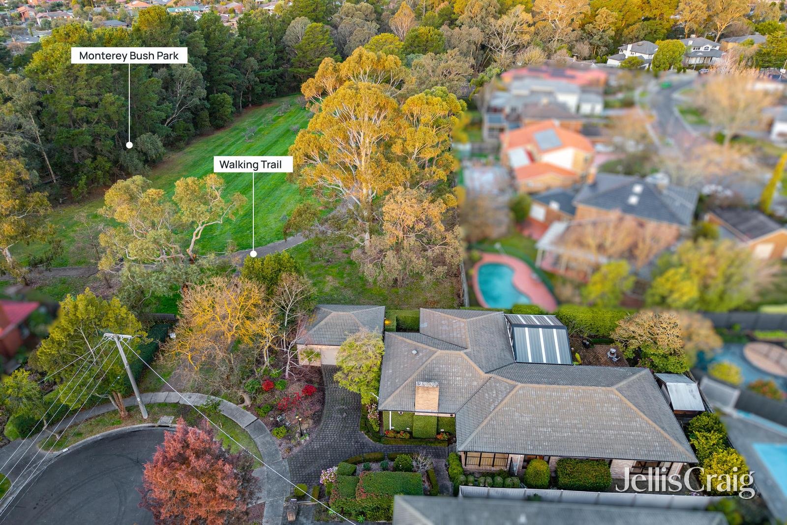 9 Appleberry Place, Ringwood North image 6