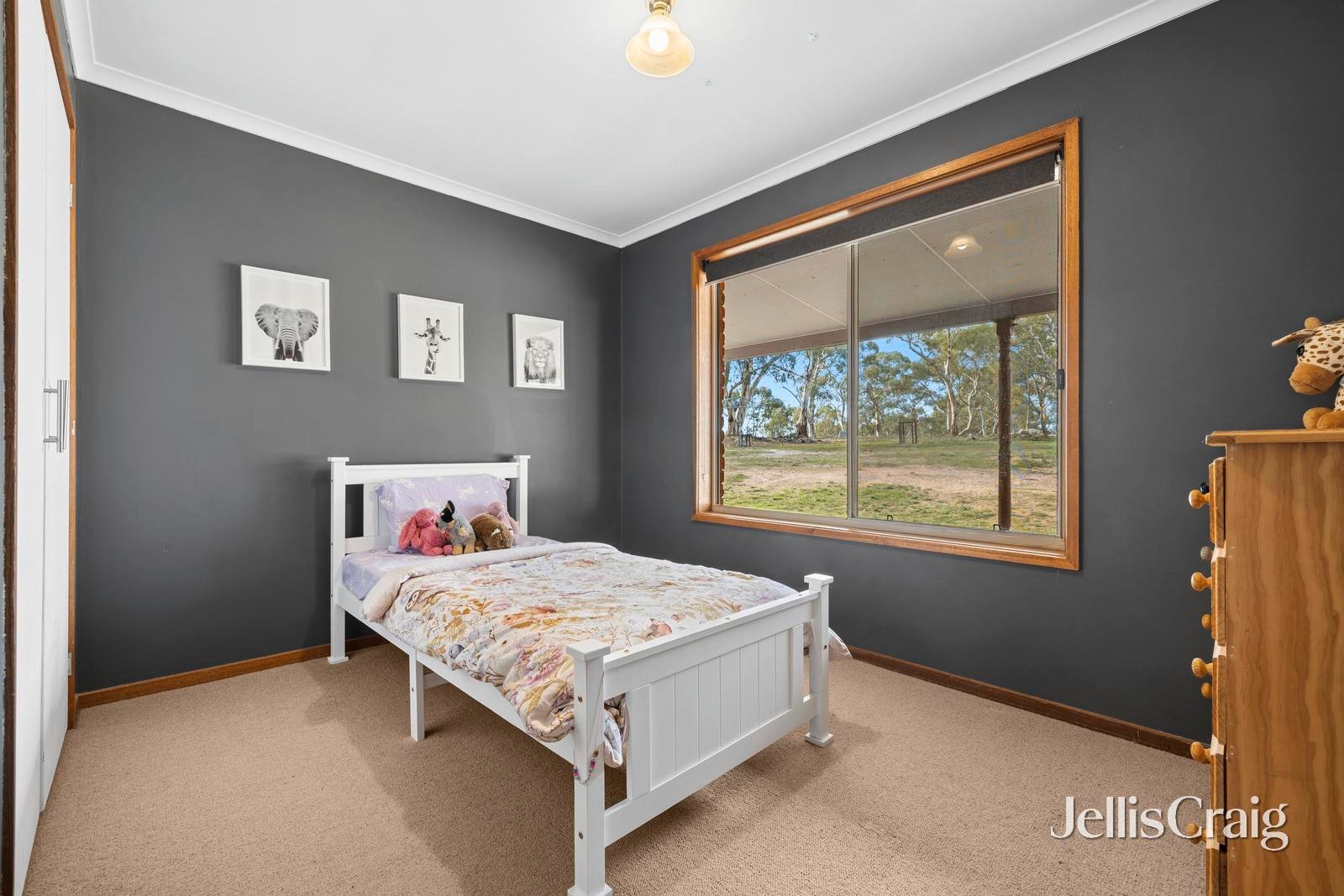 9 Barkla Road, Newstead image 9