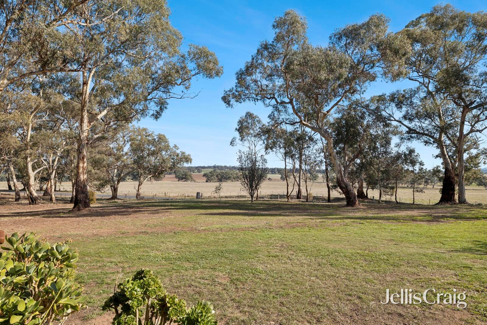 9 Barkla Road, Newstead image 14