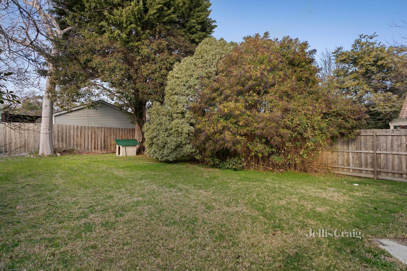 9 Carcoola Road, Ringwood East image 9