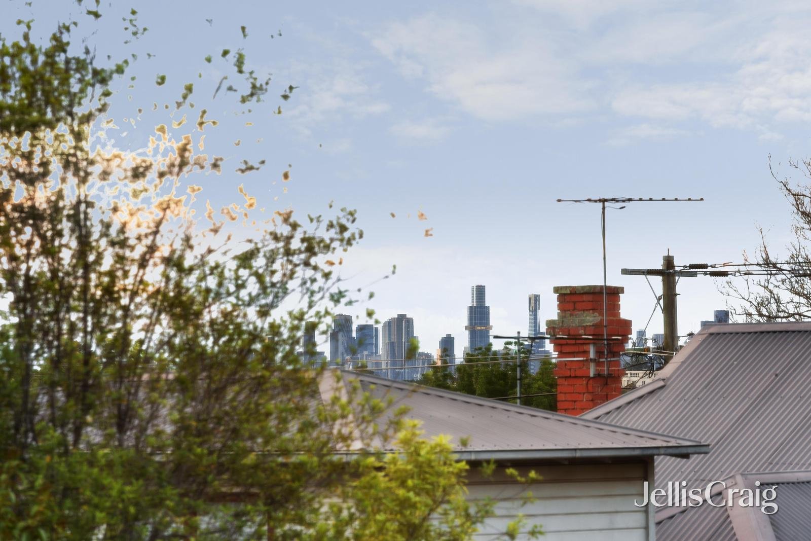 9 Clee Street, Mckinnon image 12