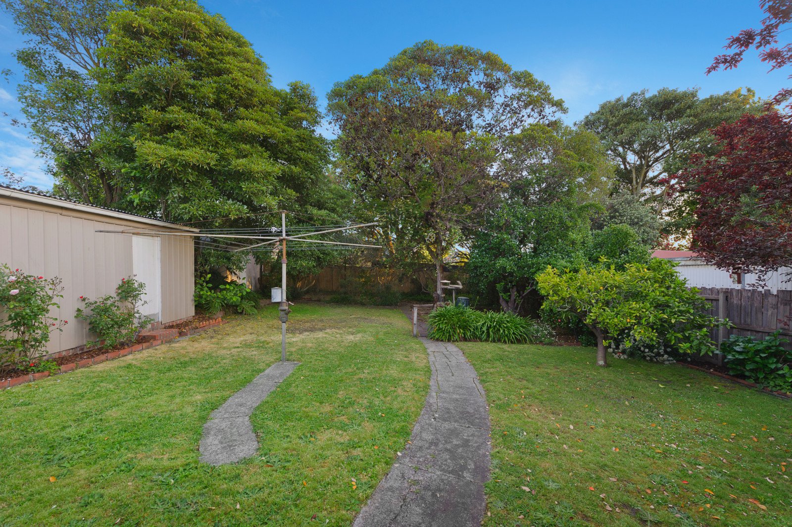 9 Gatis Street, Glen Iris image 8