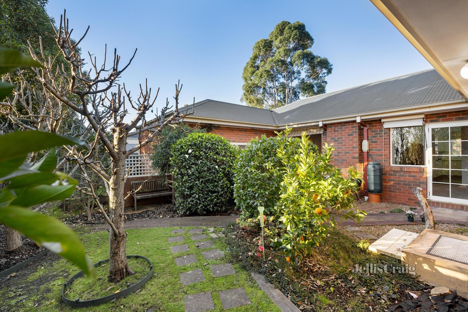 9 Golden Ridge Drive, Croydon Hills image 12