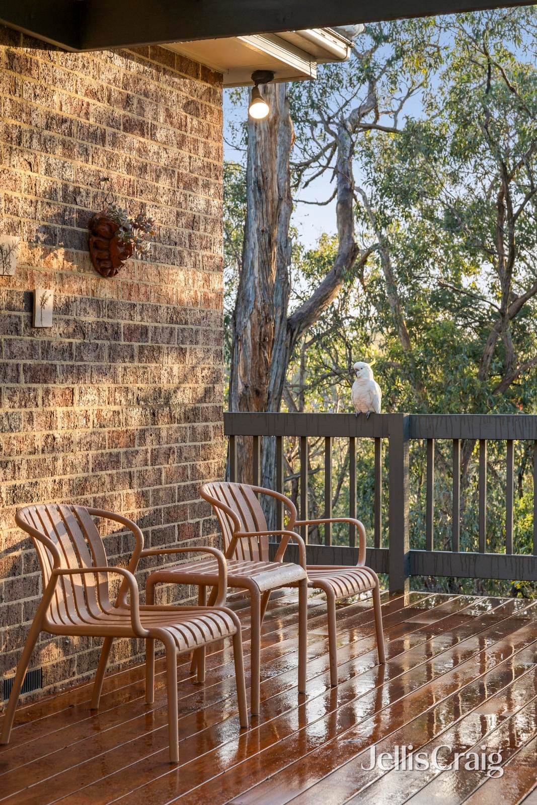 9 Greenhill Rise, Ringwood&nbsp;North image 16
