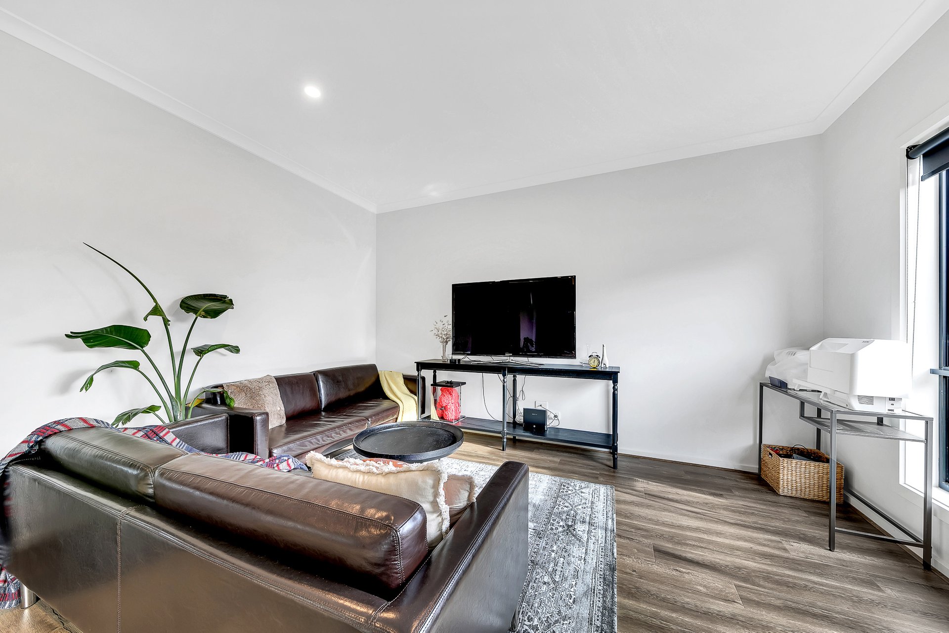 9 Hadley Street, Charlemont image 8