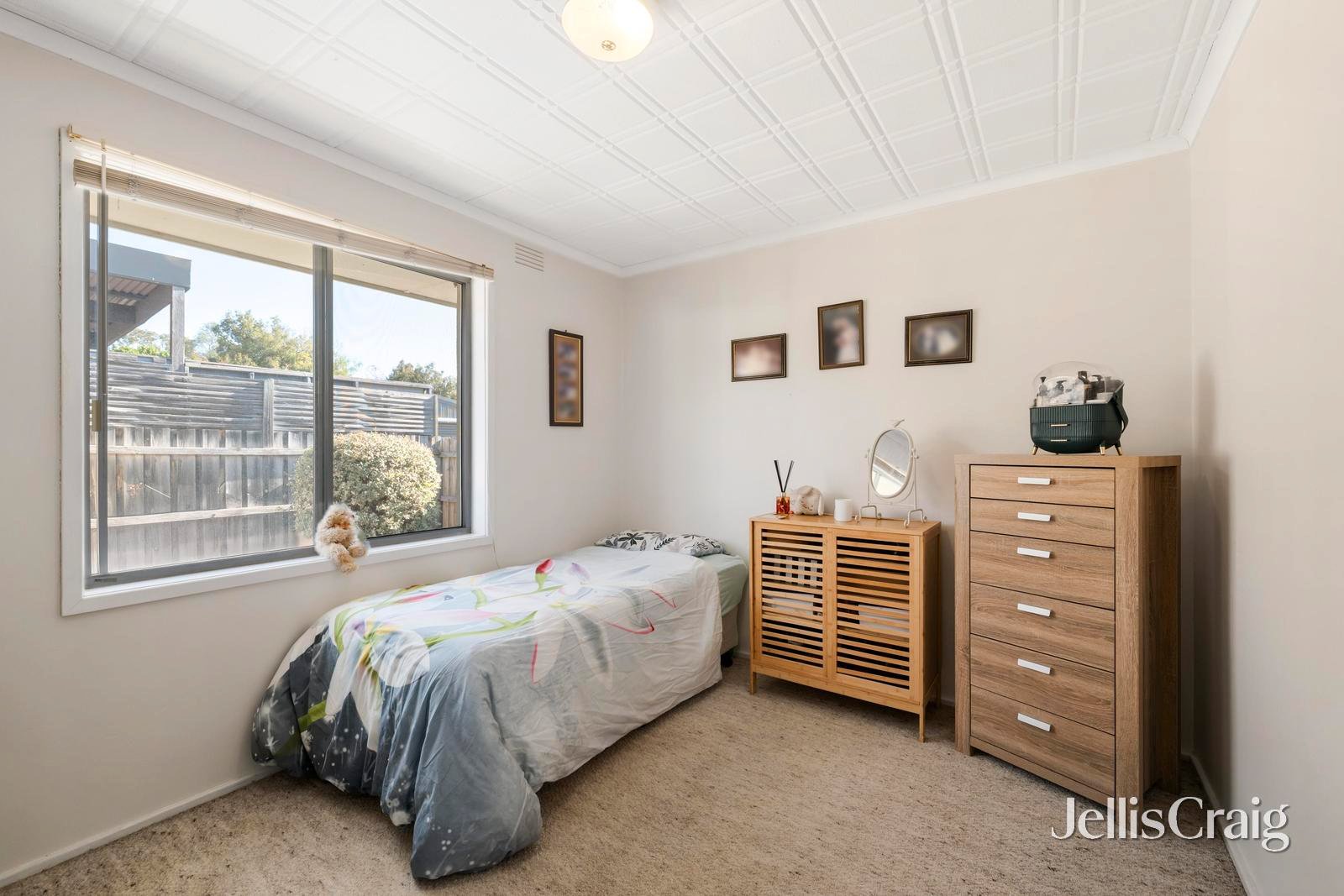 9 Jillian Street, Mooroolbark image 8