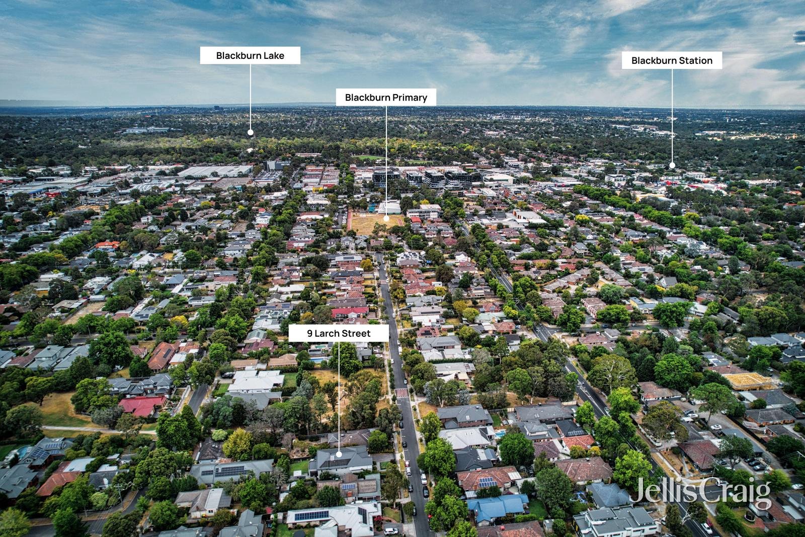 9 Larch Street, Blackburn image 17