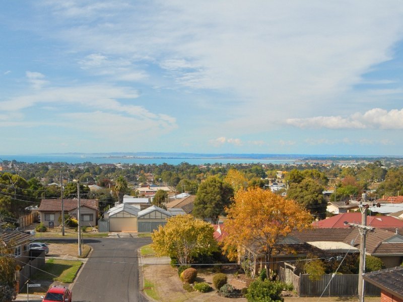9 Marathon Avenue, Hamlyn Heights image 3