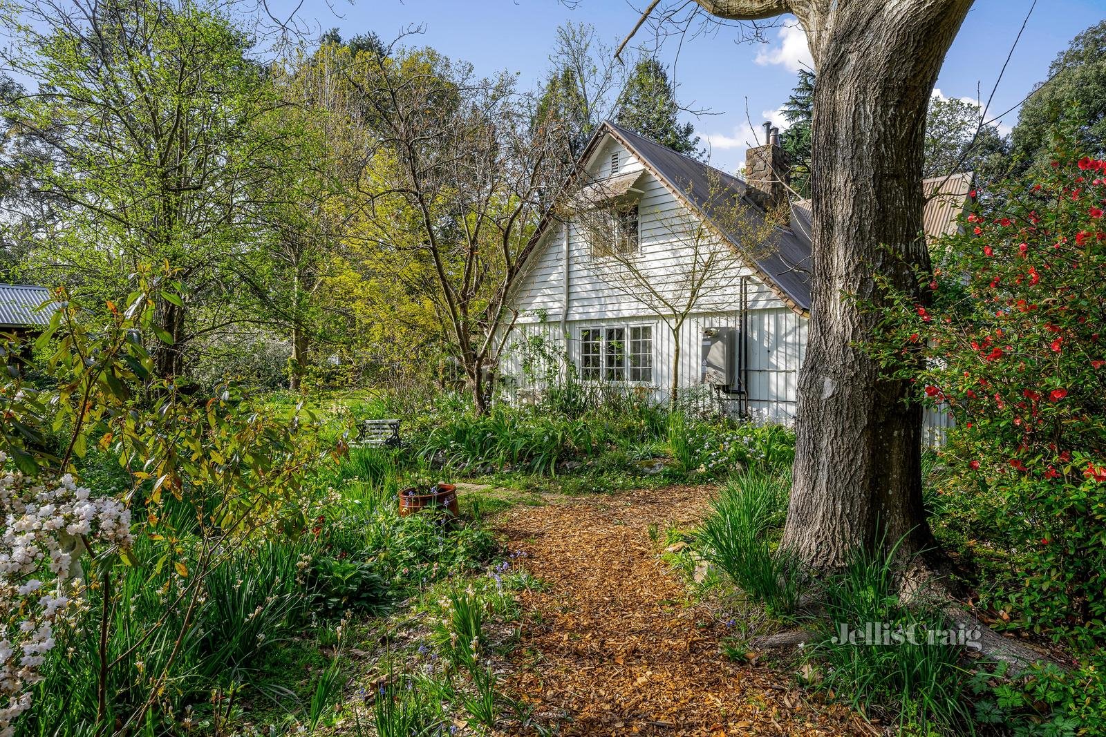 9 Pine Road, Mooroolbark image 3