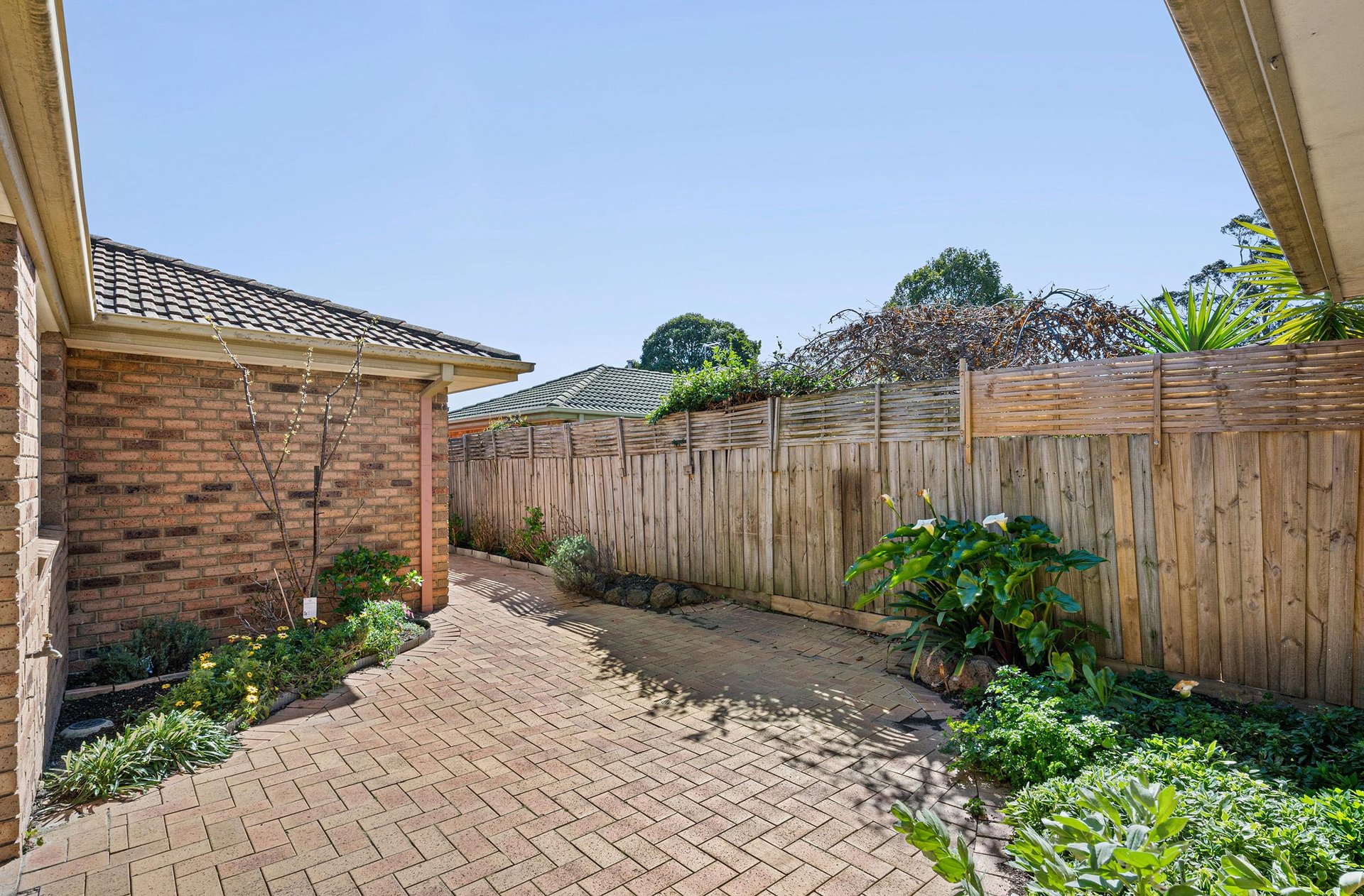 9 Ramble Crescent, Croydon image 12