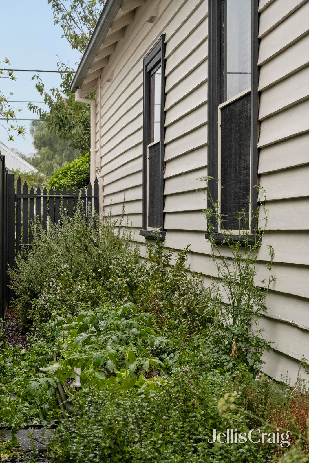 9 Rolls Street, Coburg image 22