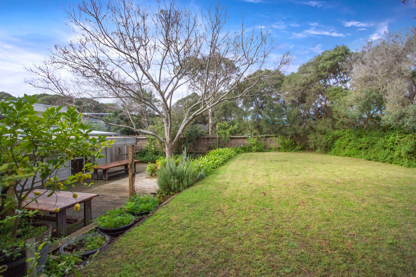 9 Scott Street, Blairgowrie image 6