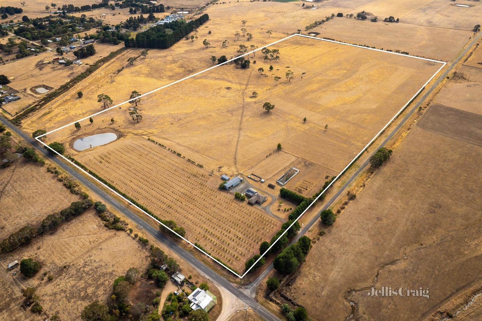 9 Stag Road, Allendale image 4