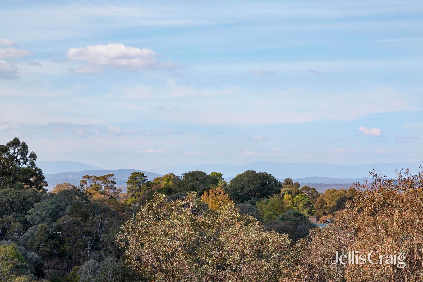 9 Tieman Road, Yarrambat image 26
