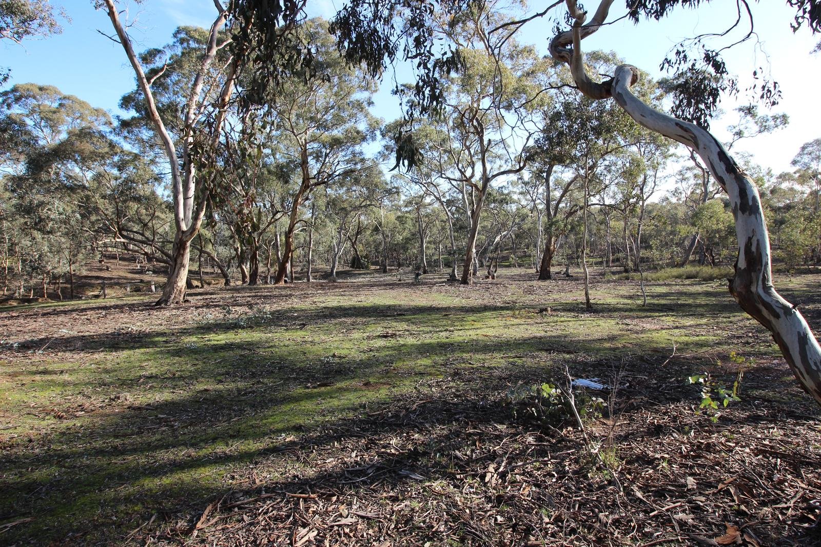 90 Firmans Road, Mount Glasgow image 6