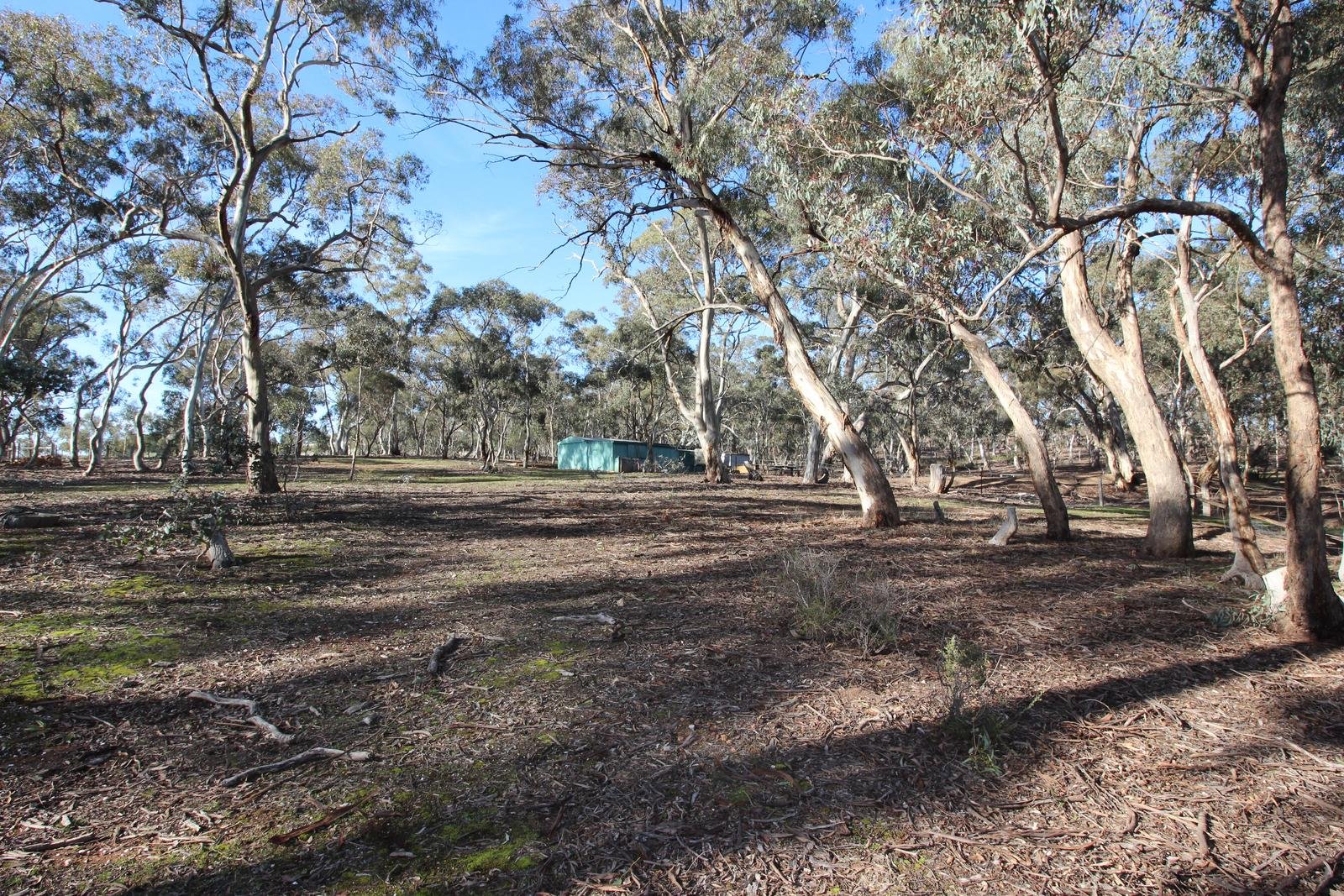 90 Firmans Road, Mount Glasgow image 7