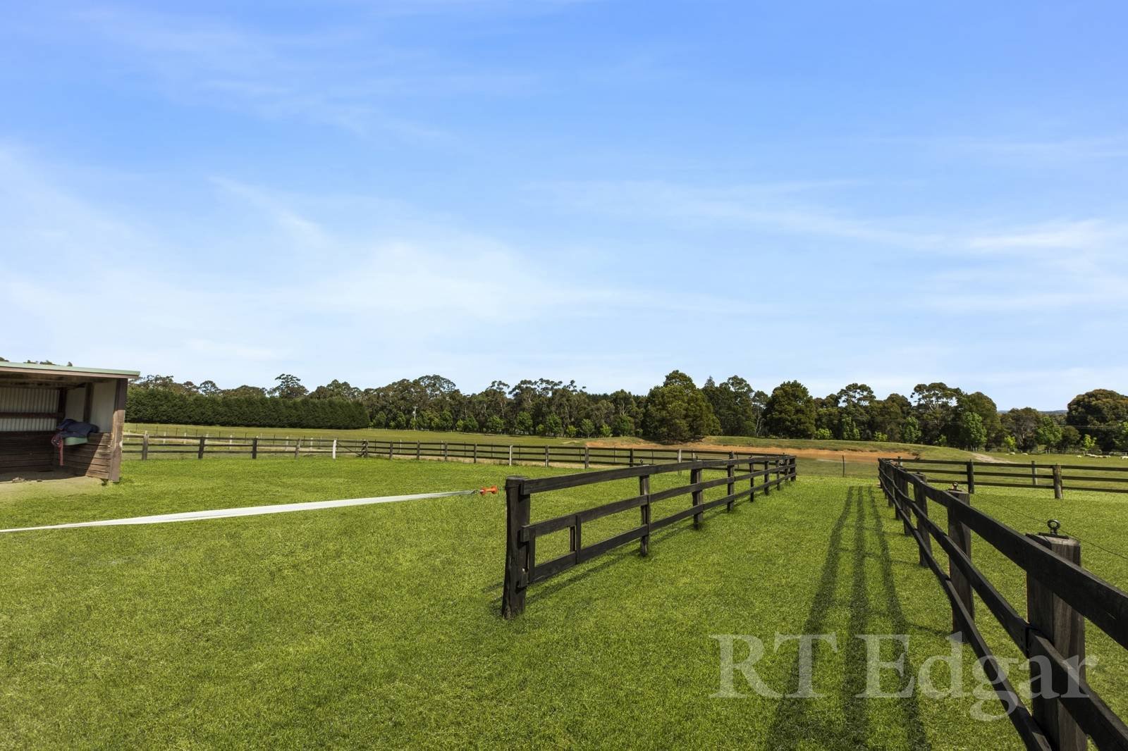 Property Gallery Thumbnail 4