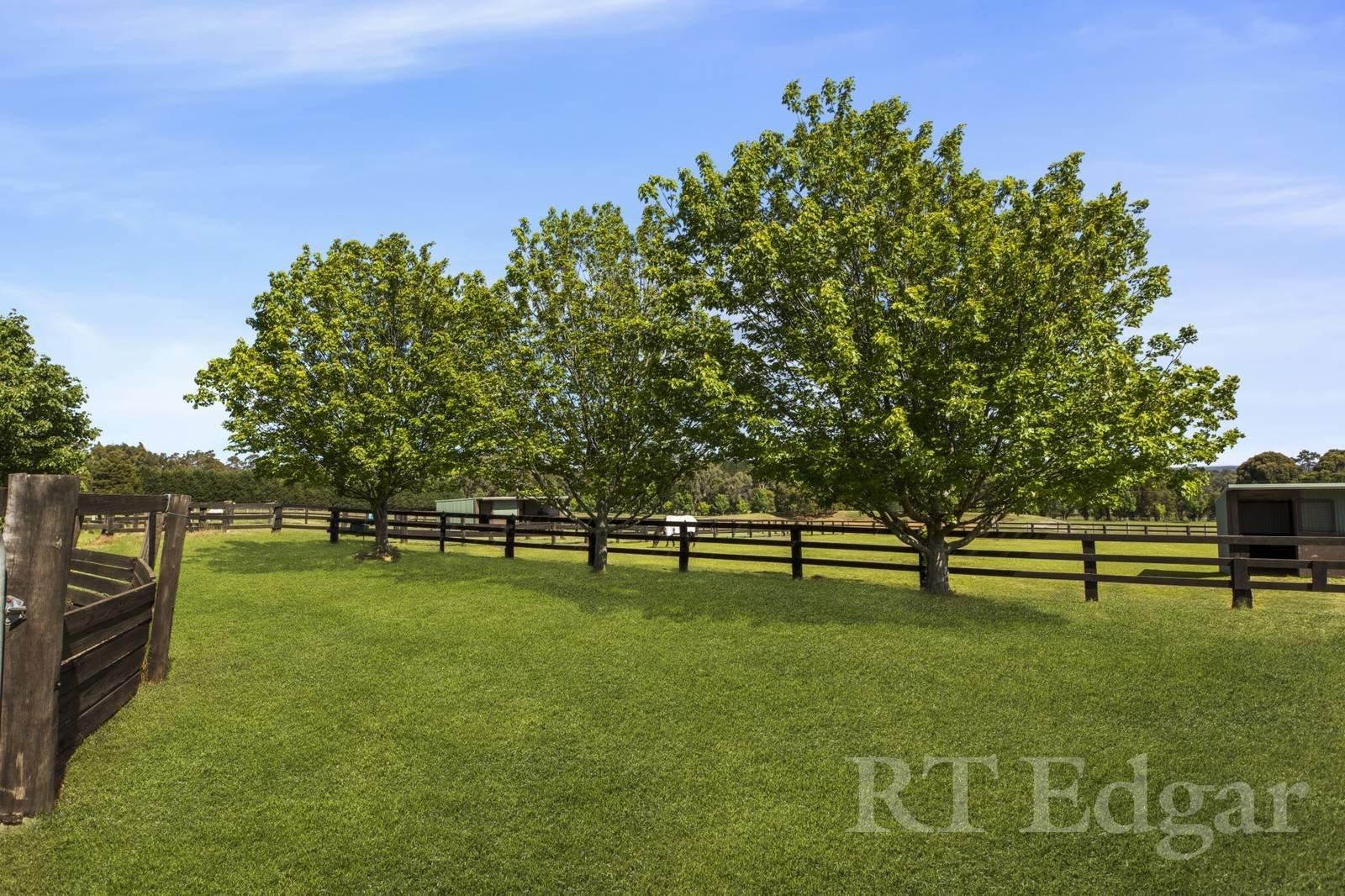 Property Gallery Thumbnail 17