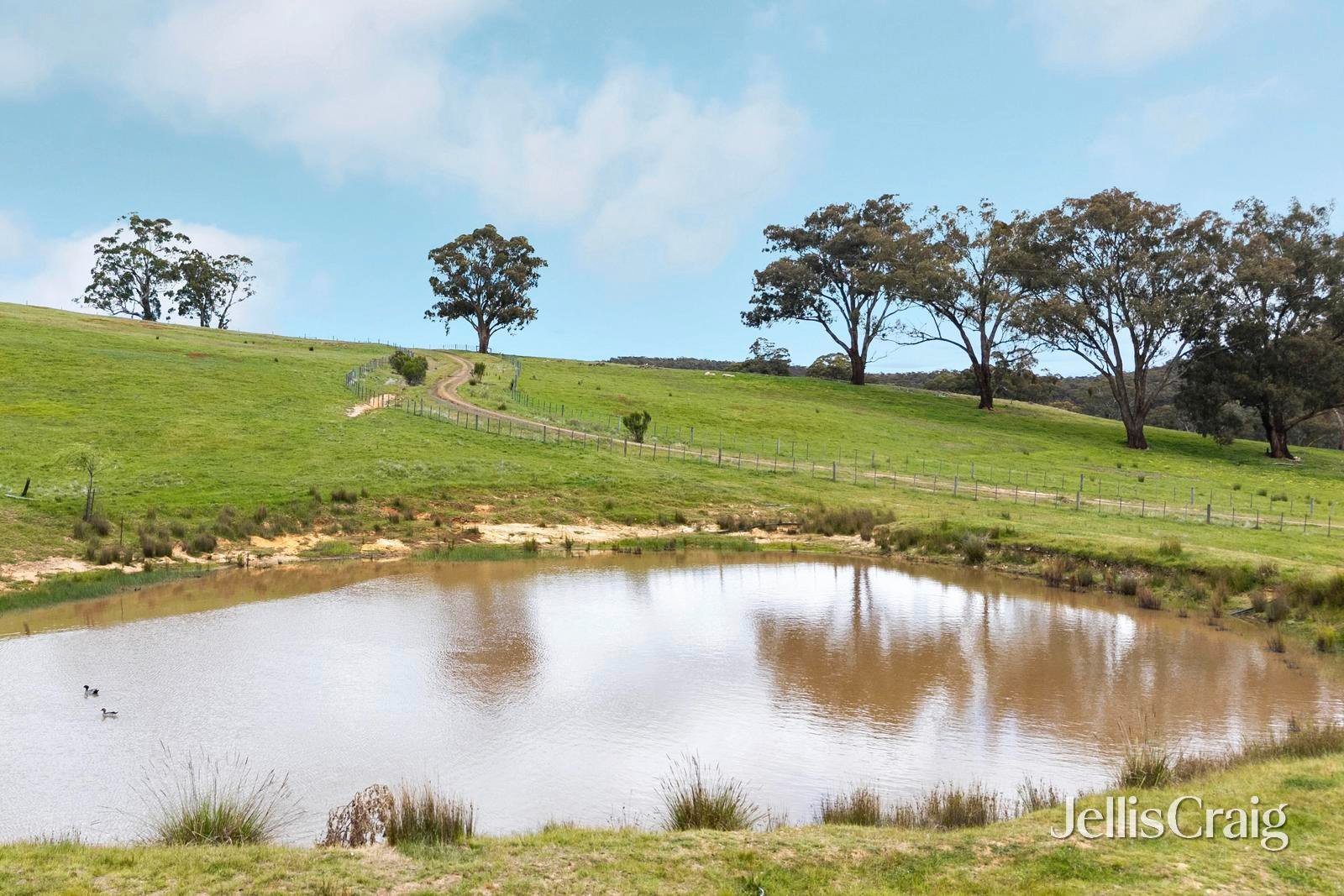 909 Vaughan Springs Road, Glenlyon image 24