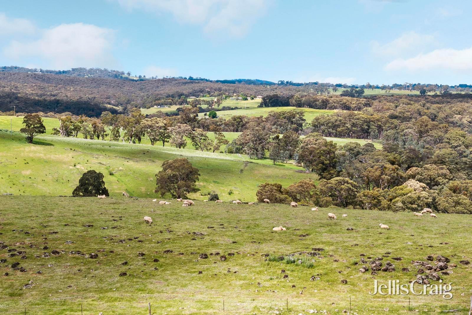 909 Vaughan Springs Road, Glenlyon image 27