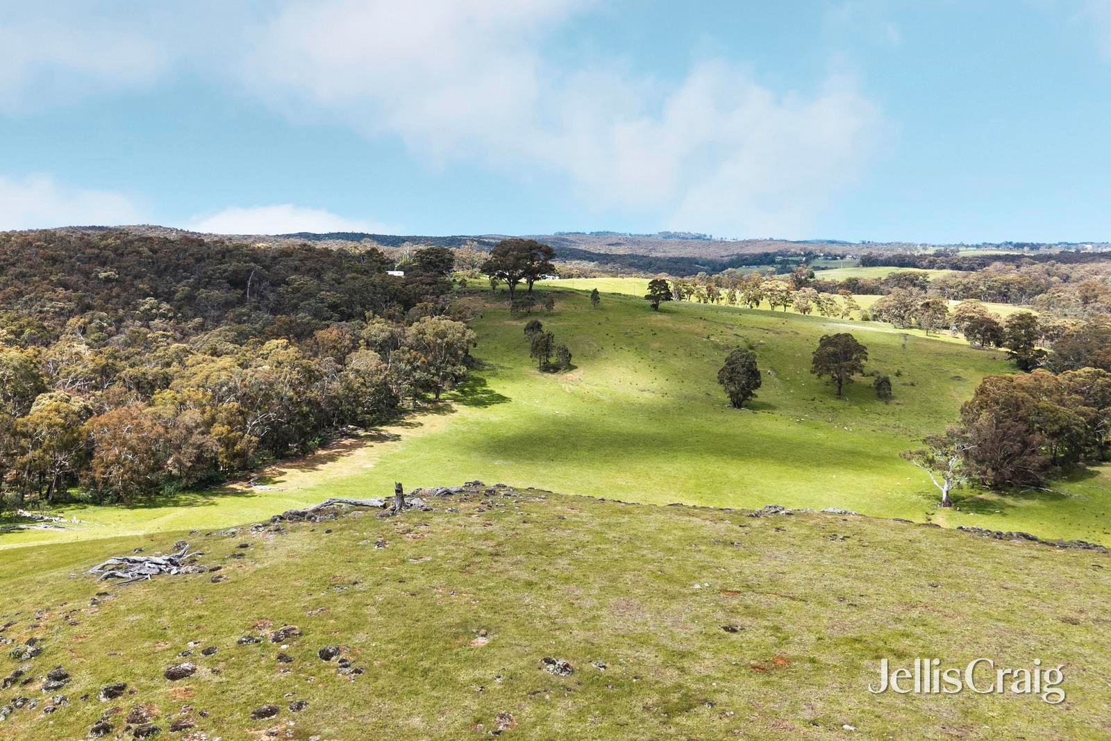 909 Vaughan Springs Road, Glenlyon image 28