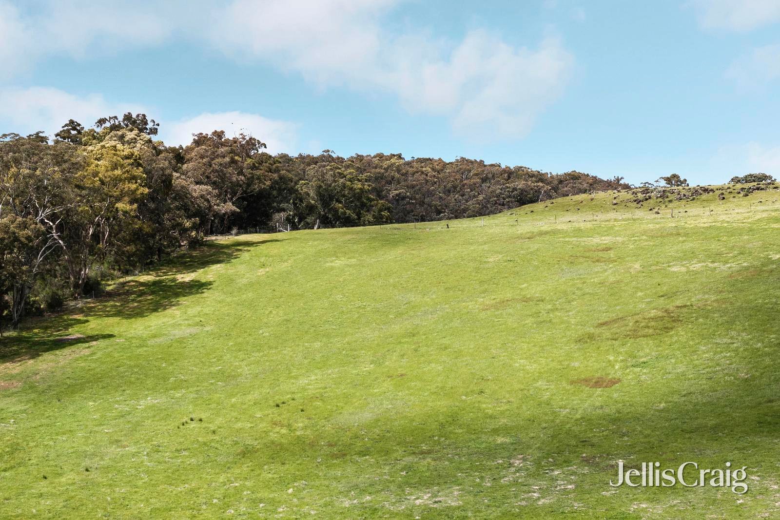909 Vaughan Springs Road, Glenlyon image 29