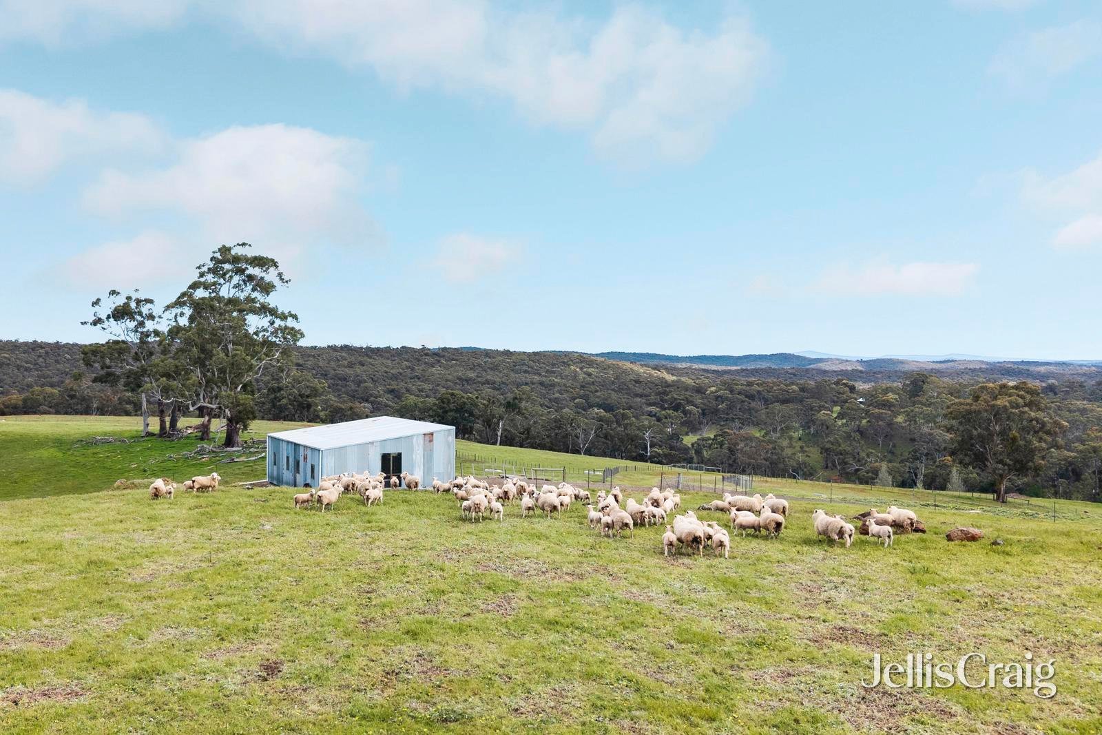 909 Vaughan Springs Road, Glenlyon image 30