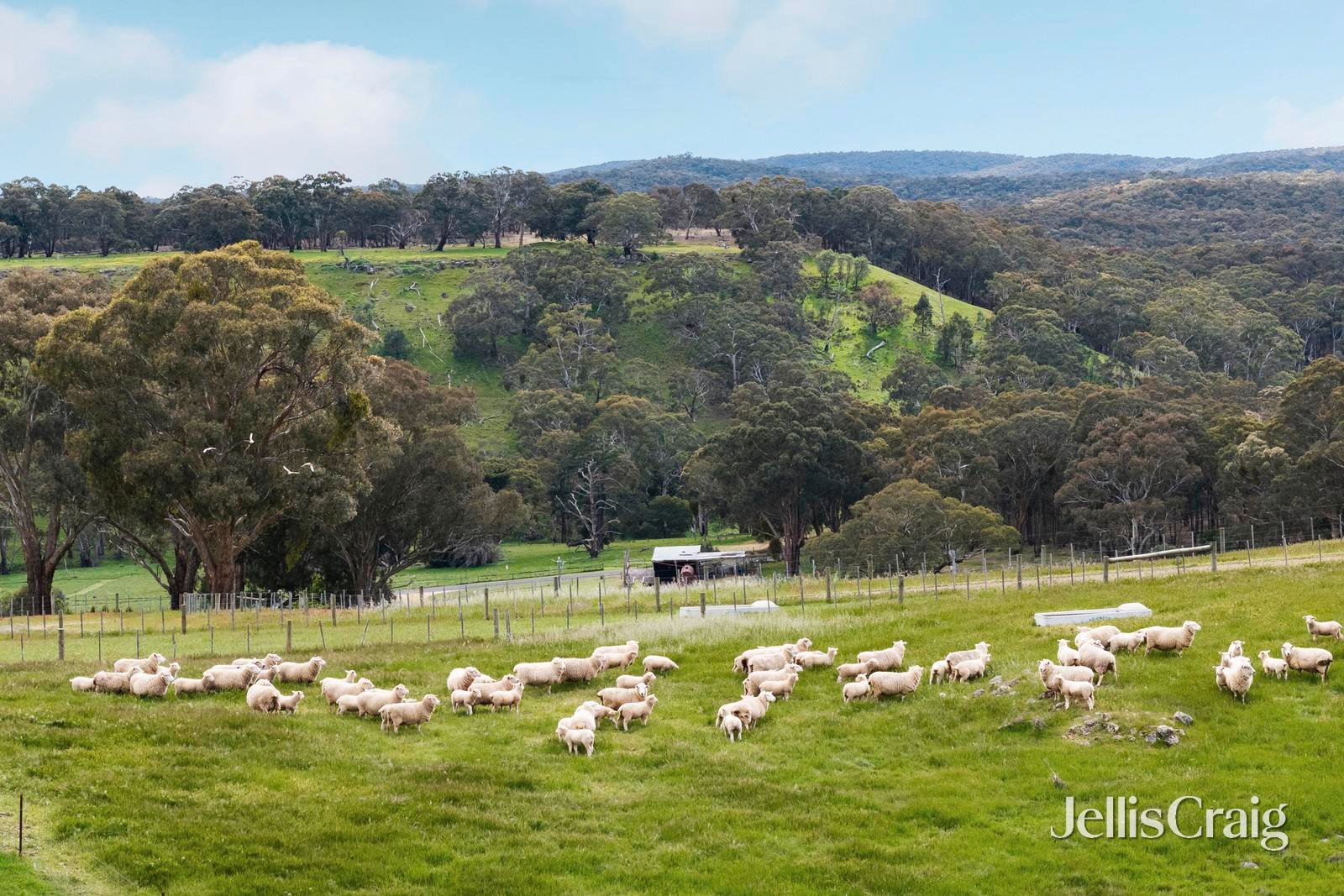 909 Vaughan Springs Road, Glenlyon image 31