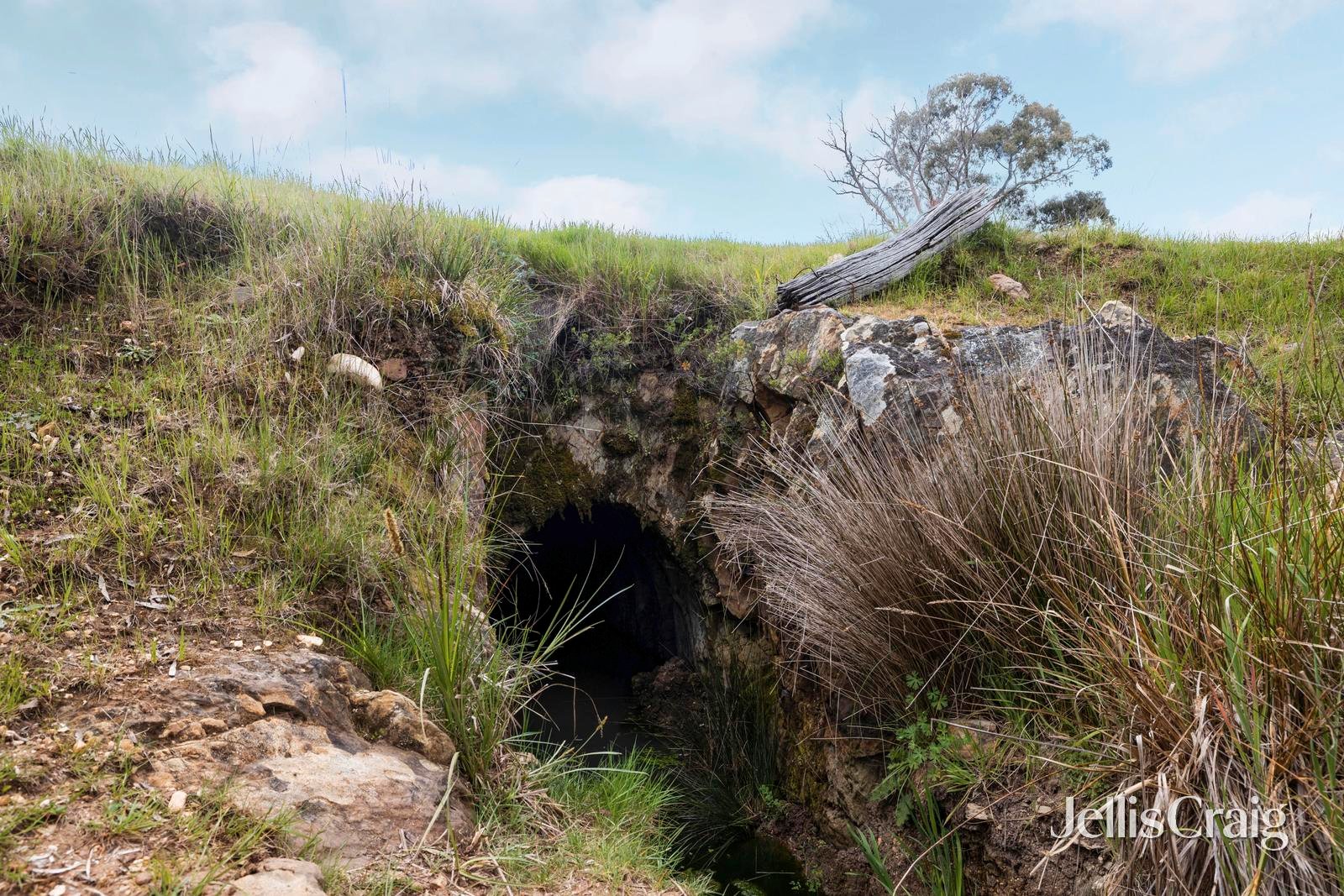 909 Vaughan Springs Road, Glenlyon image 33