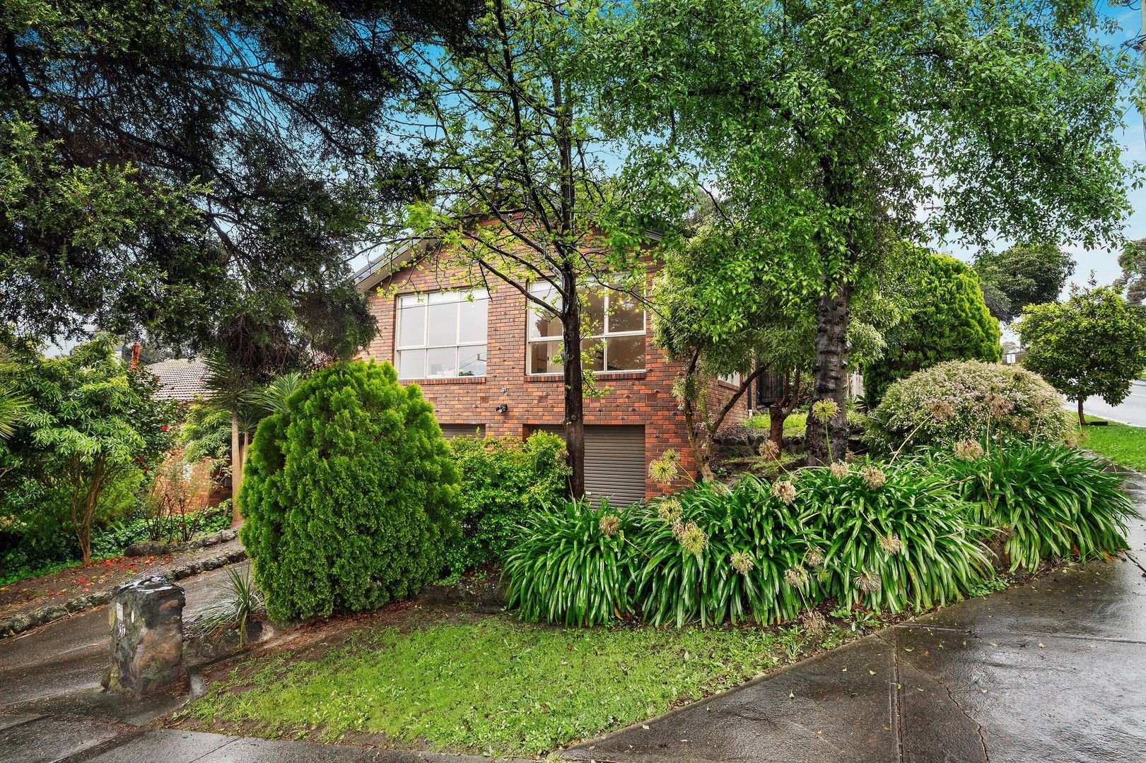 91 Dellfield Drive, Templestowe image 1