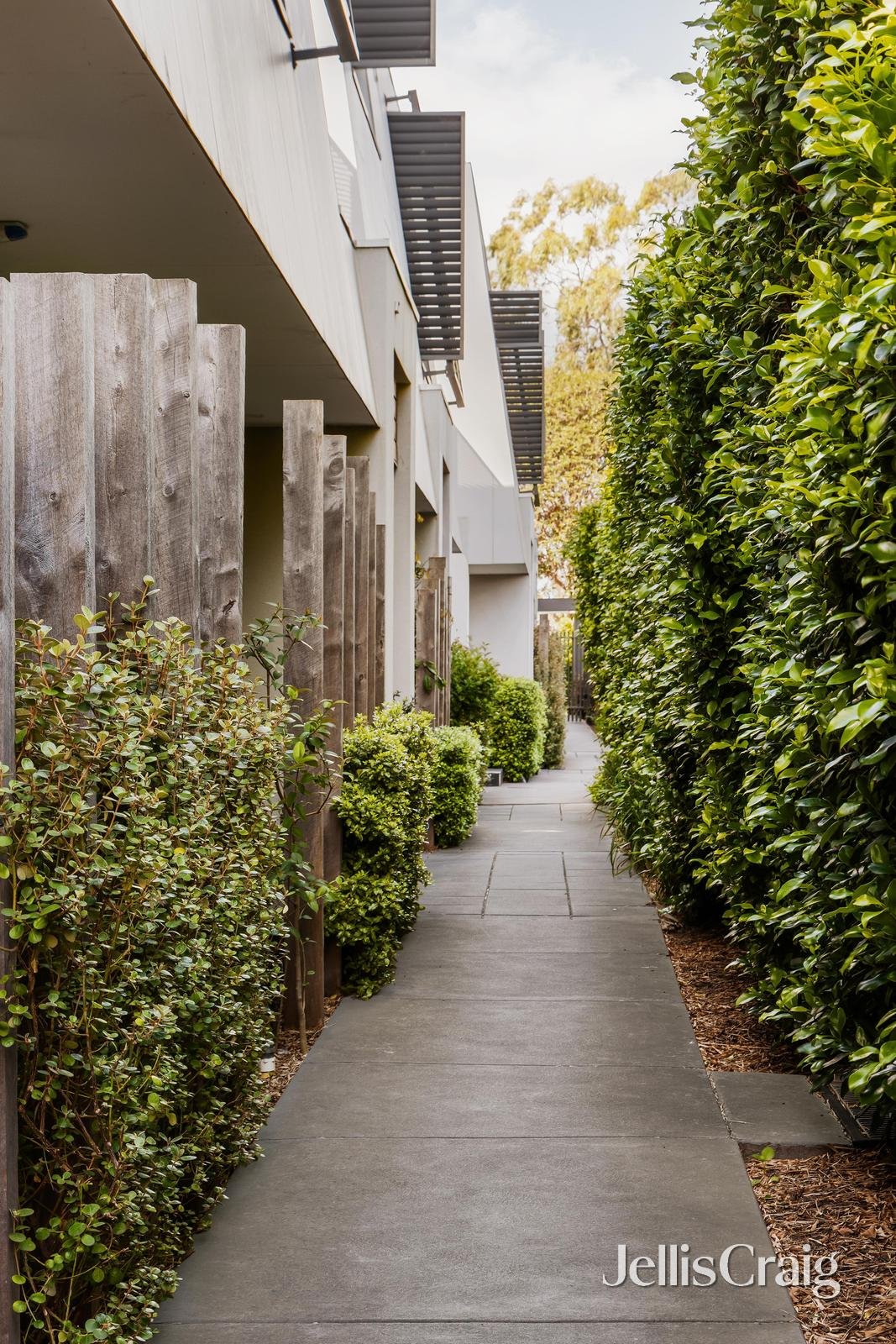 9/1 Latrobe Street, Cheltenham image 7