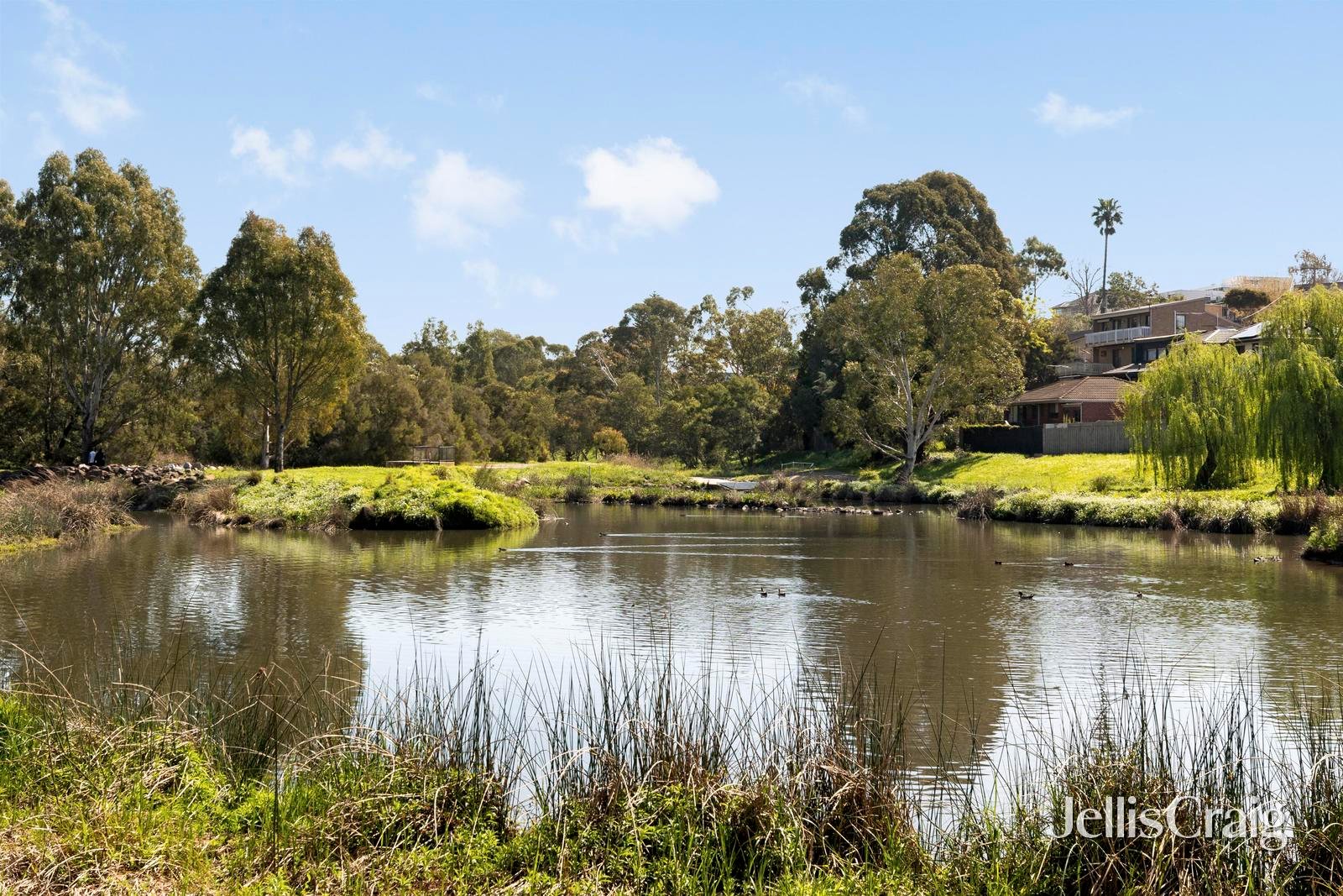 91 Osborne Avenue, Mount&nbsp;Waverley image 13