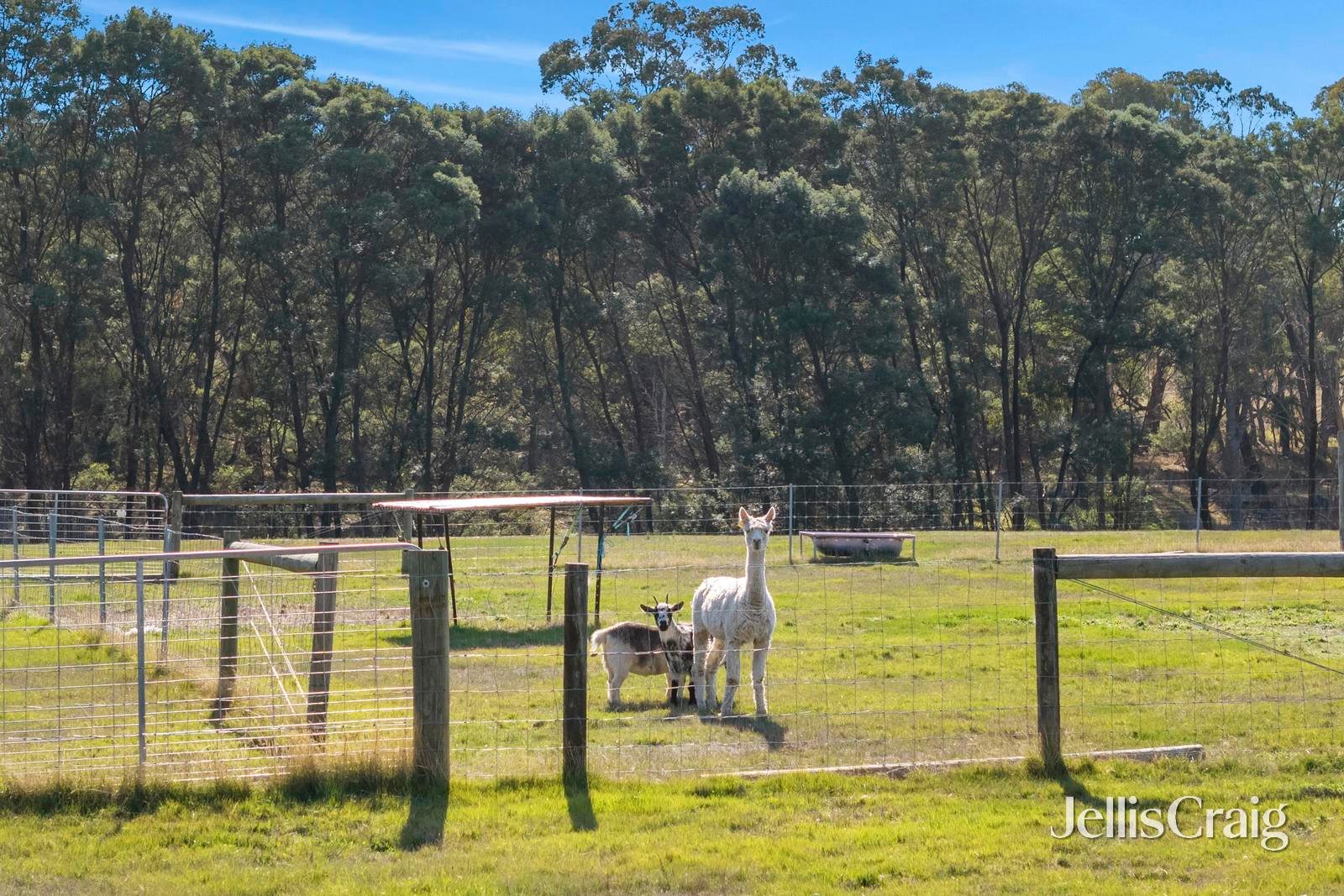 91 Rosa Court, Kyneton image 12