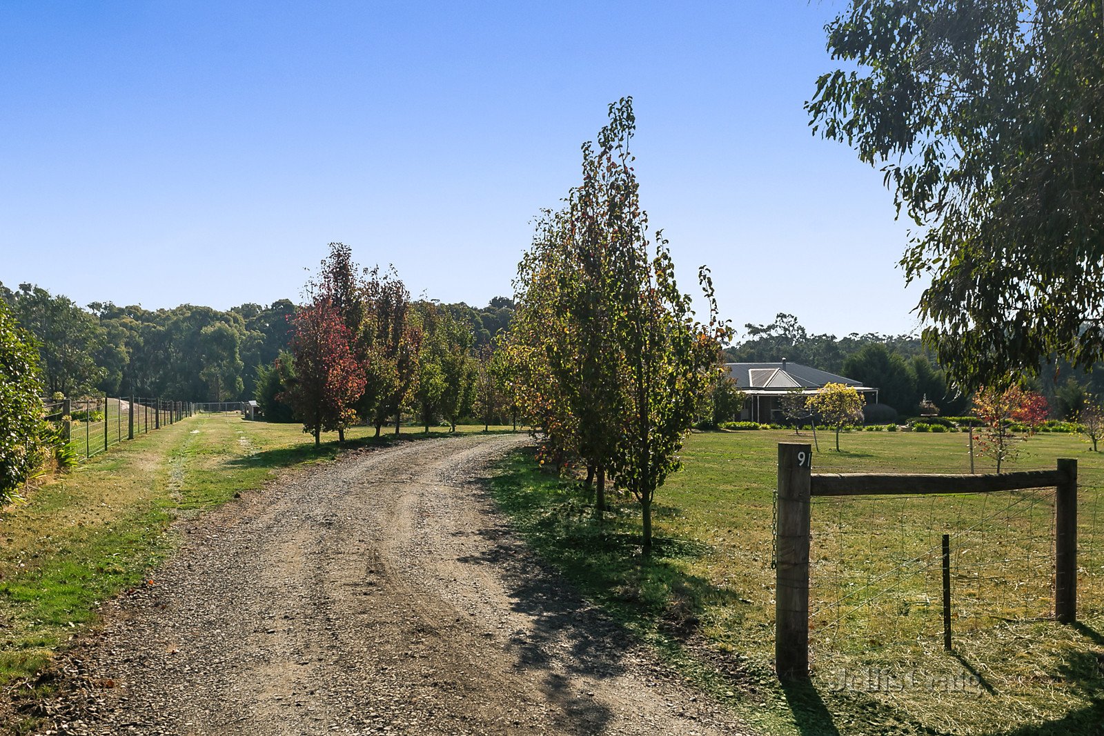 91 Rosa Court, Kyneton image 4