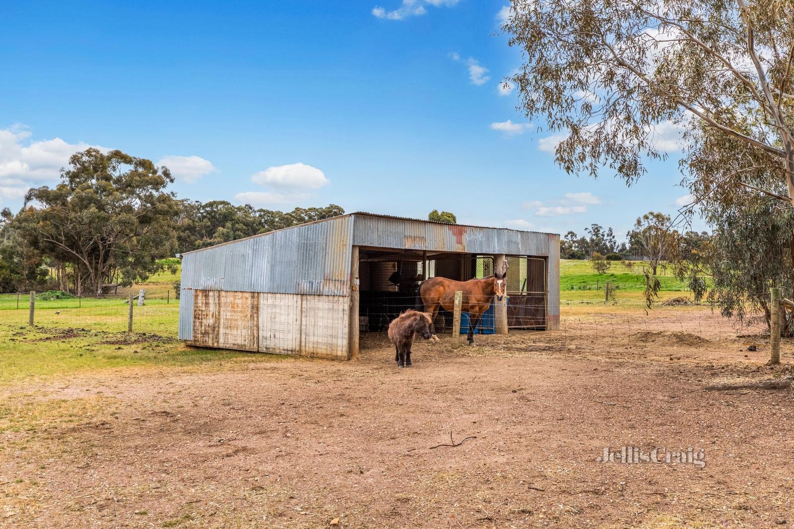 92 Castlemaine Maldon Road, Muckleford image 21