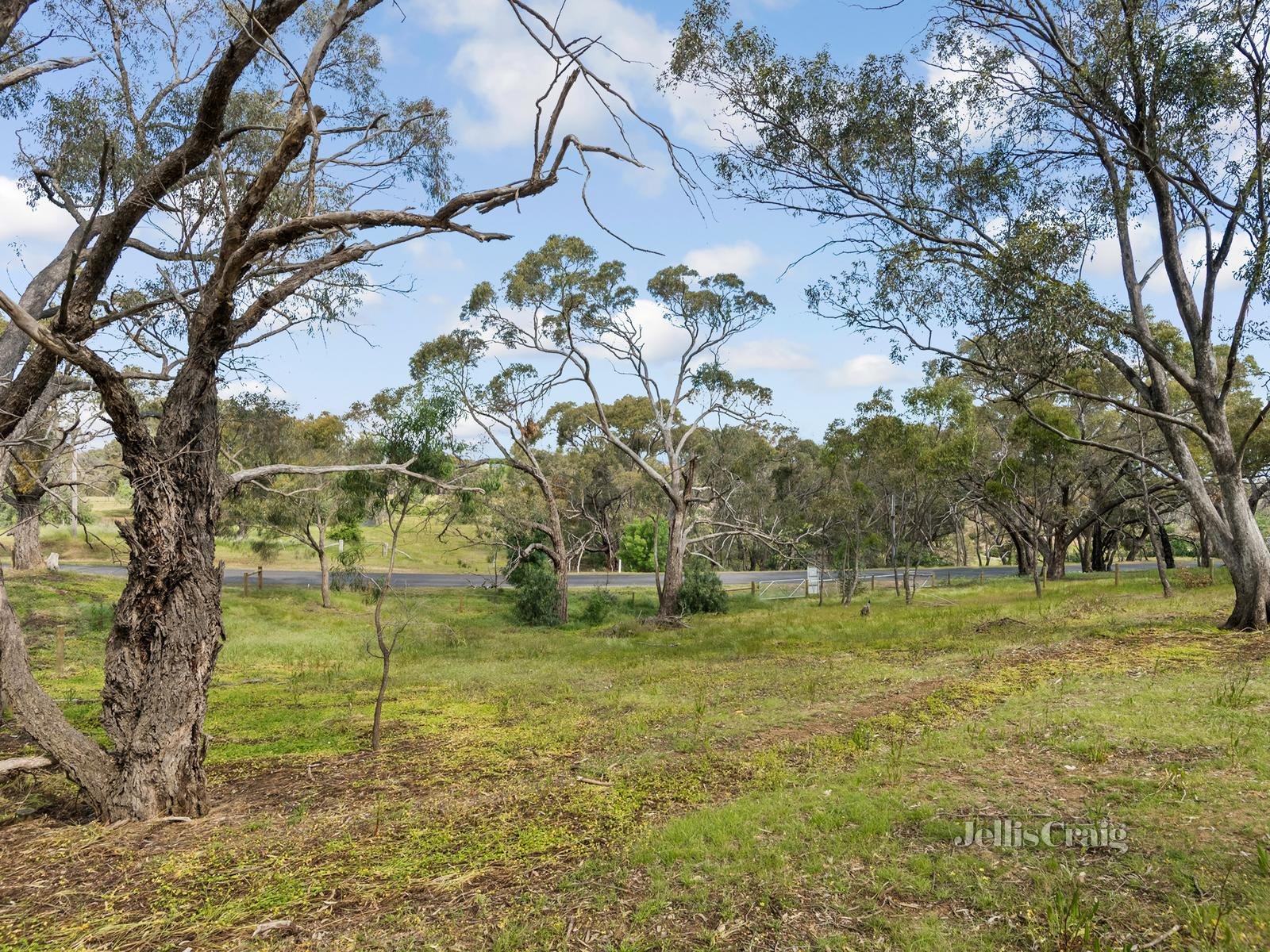 92 Parkins Reef Road, Maldon image 4