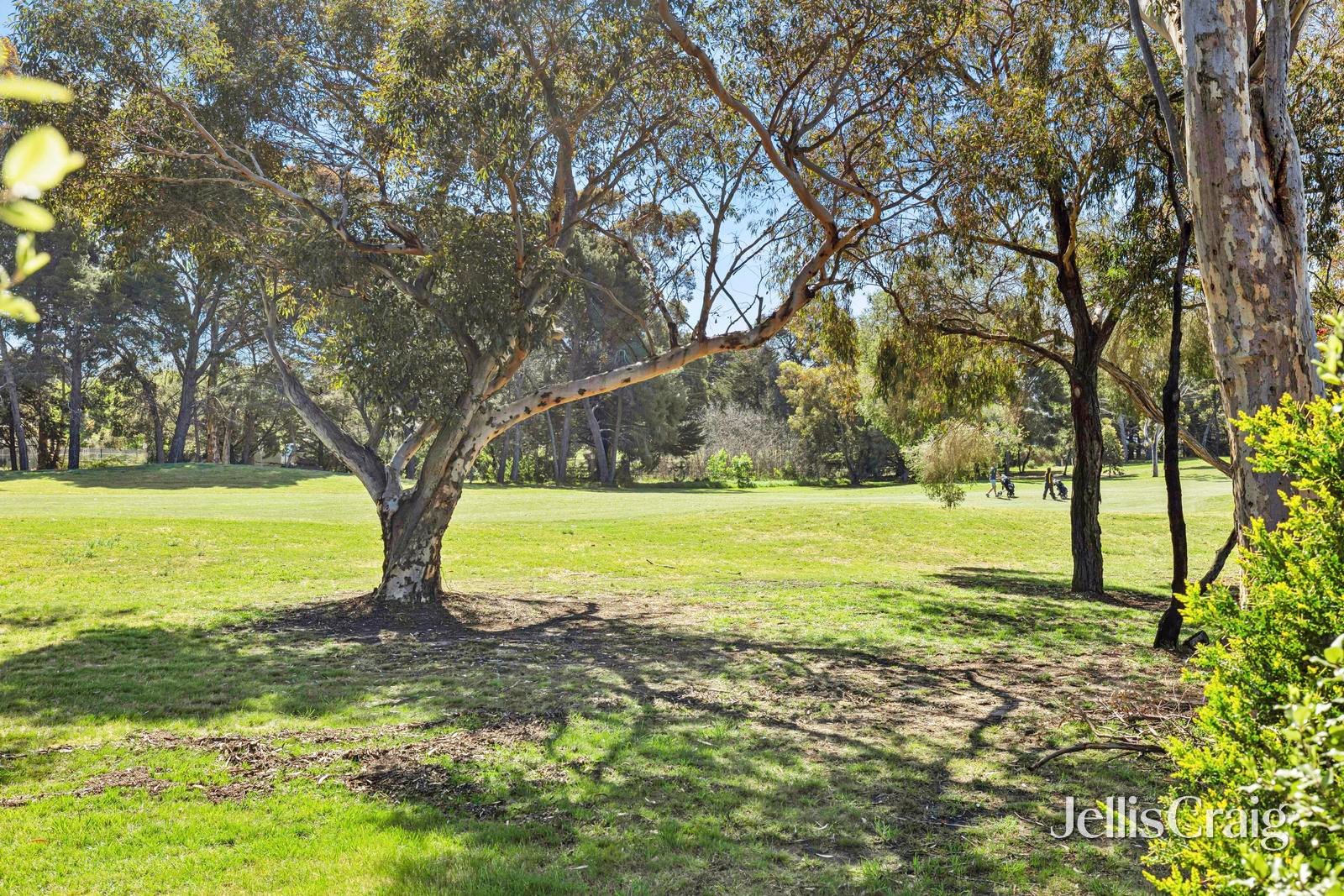 92 Rutledge Boulevard, North&nbsp;Geelong image 8