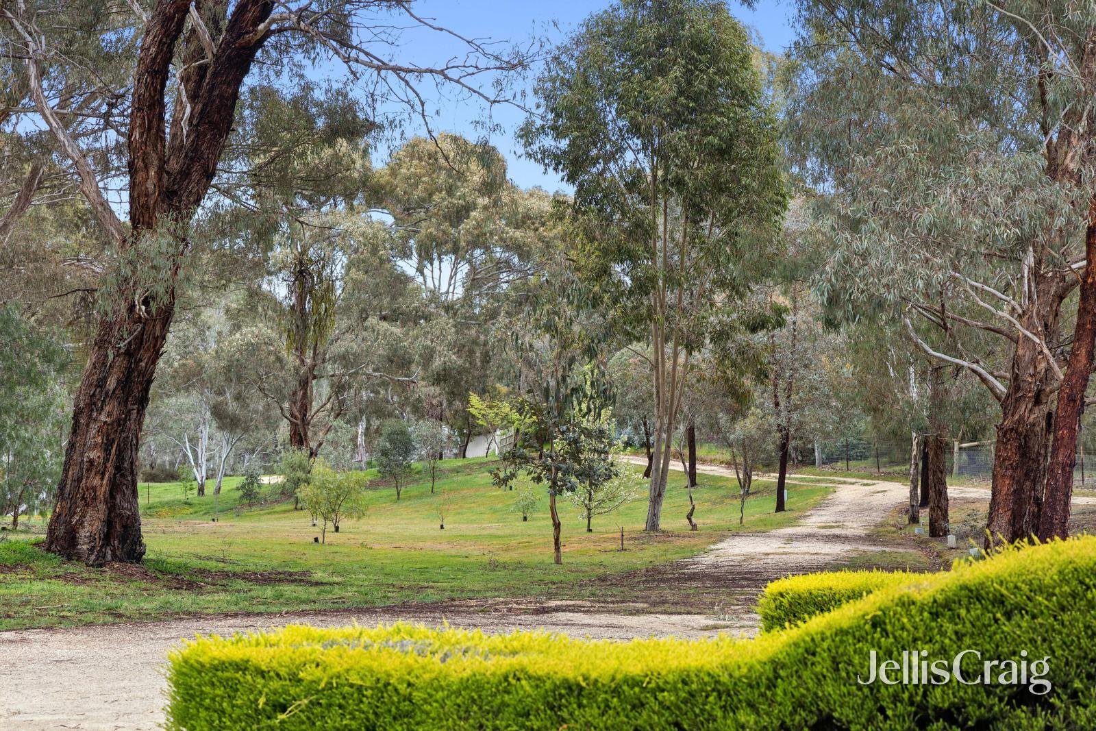 93 Stephen Street, Campbells Creek image 2