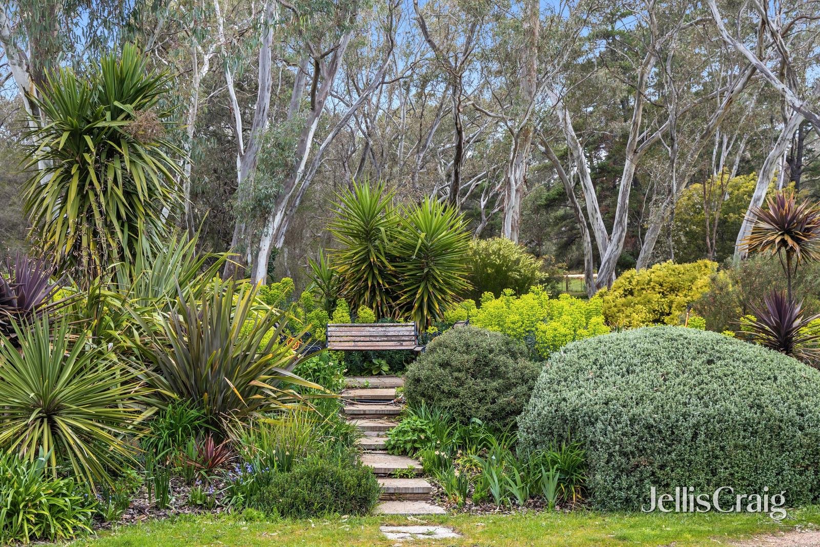 93 Stephen Street, Campbells Creek image 4