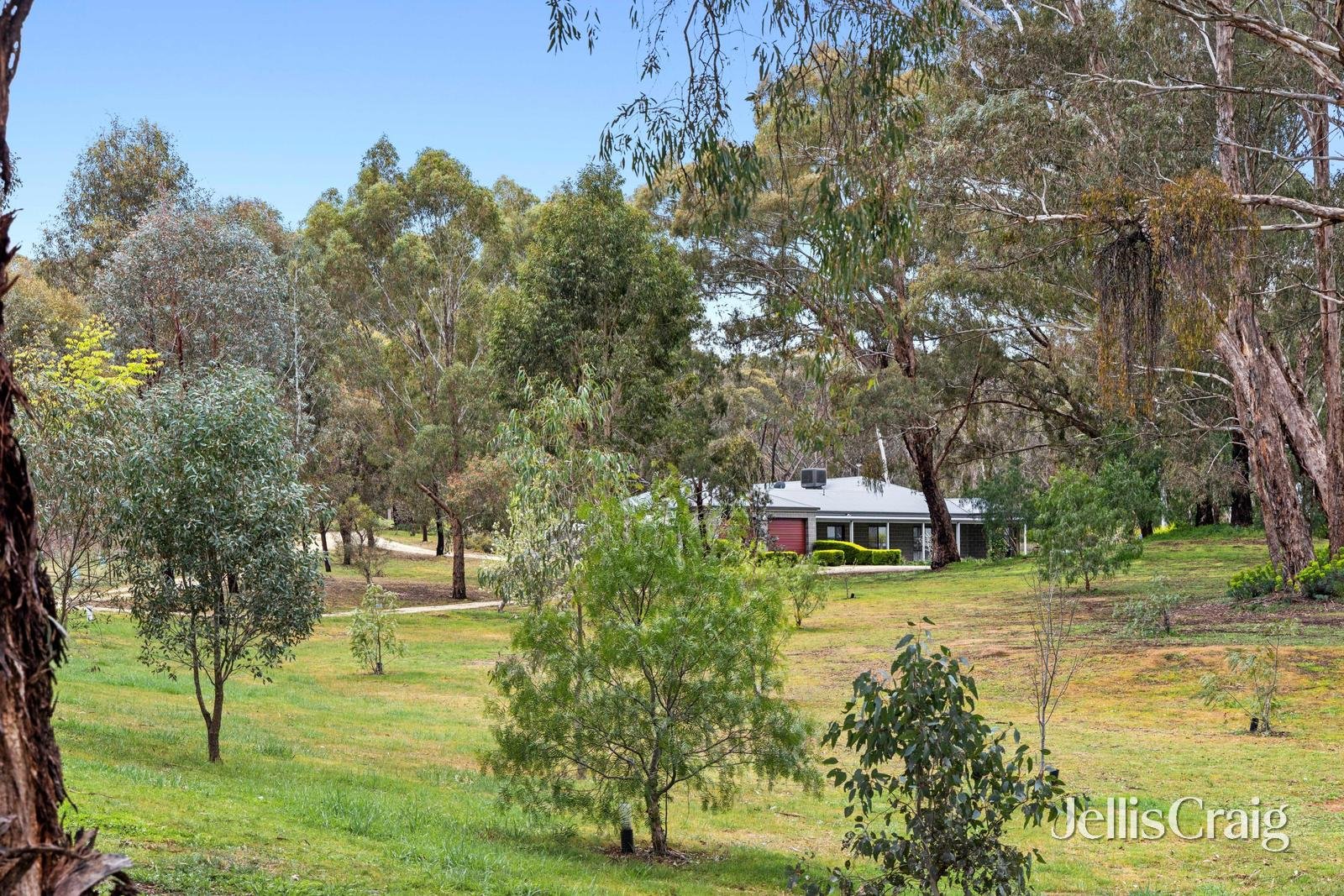 93 Stephen Street, Campbells Creek image 5