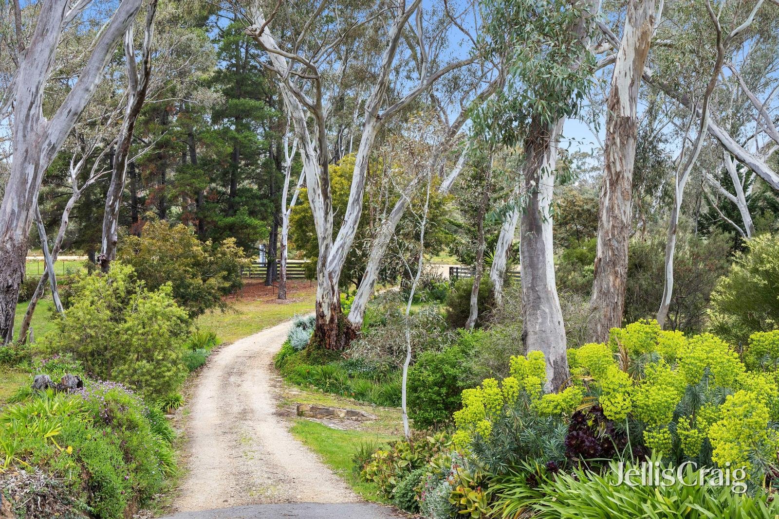 93 Stephen Street, Campbells Creek image 20