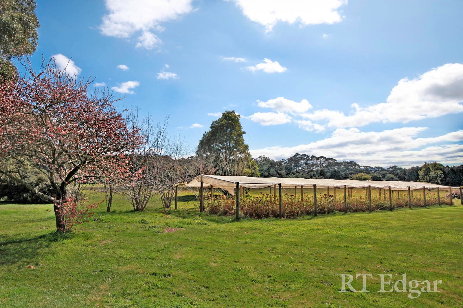 Property Gallery Thumbnail 20