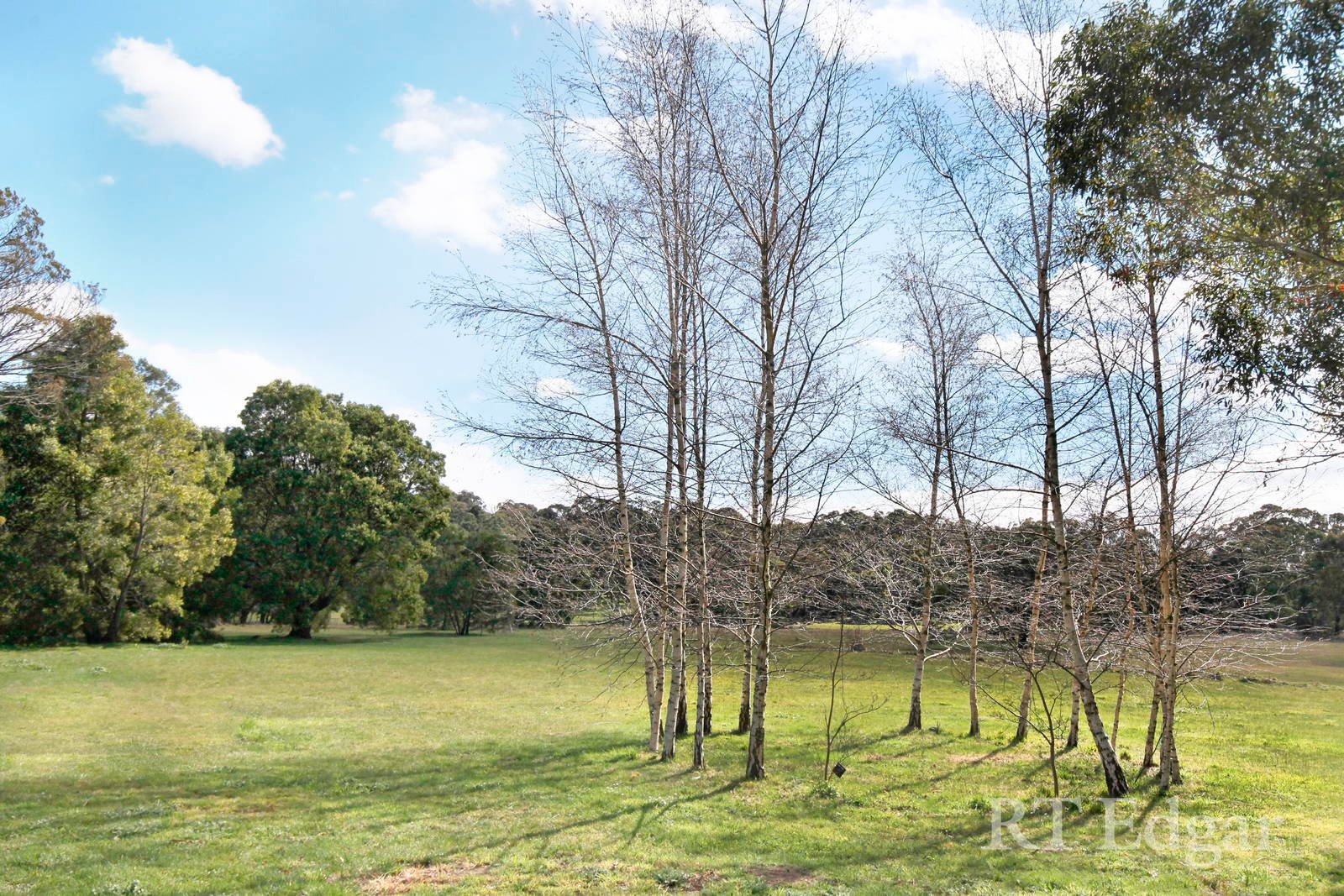 Property Gallery Thumbnail 21