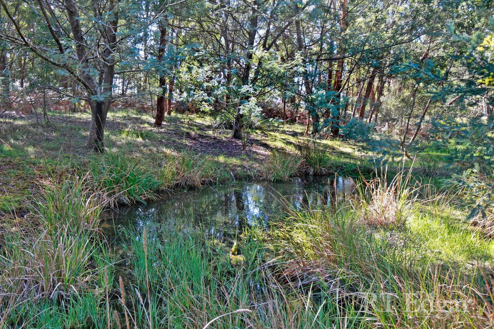 Property Gallery Thumbnail 23